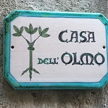 오르비에토 Casa Dell'Olmo 아파트 외부 사진